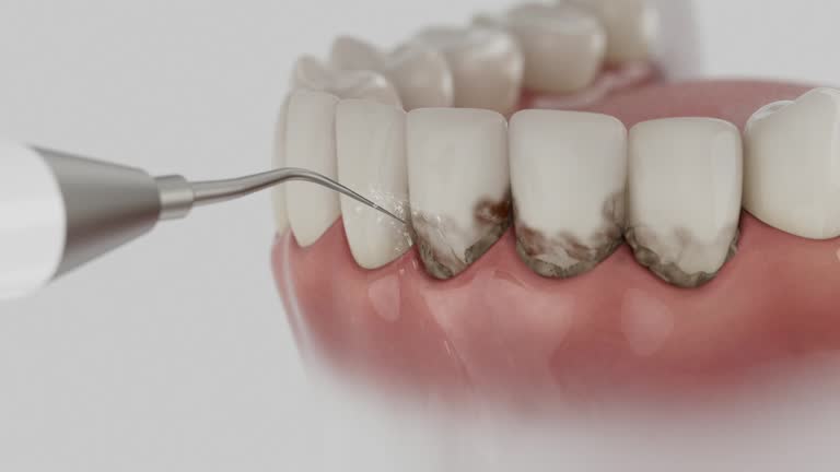Reliable Dental contractor in East Lake-Orient Park, FL by Dentist Open Now