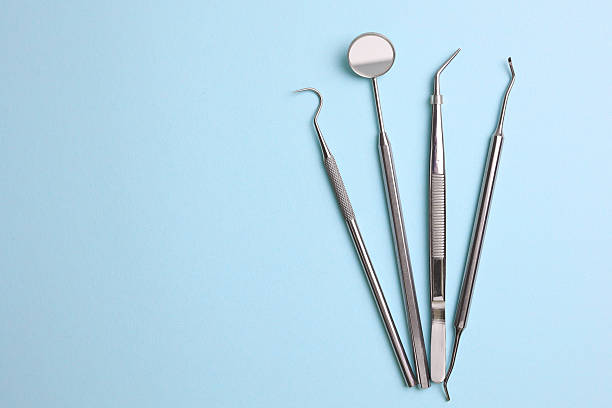 Top rated local Dental specialists in East Lake-Orient Park, FL